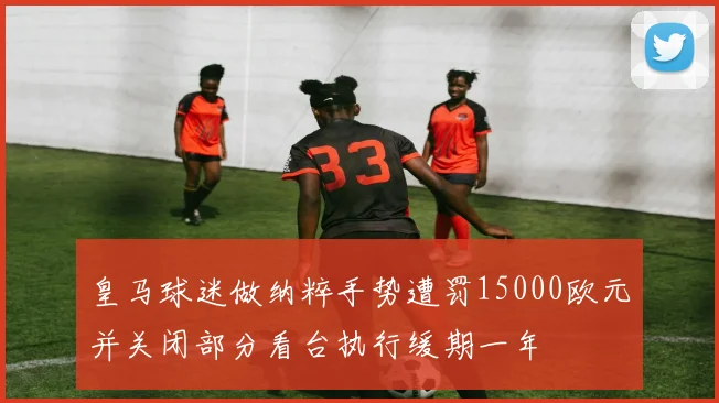 皇马球迷做纳粹手势遭罚15000欧元并关闭部分看台执行缓期一年
