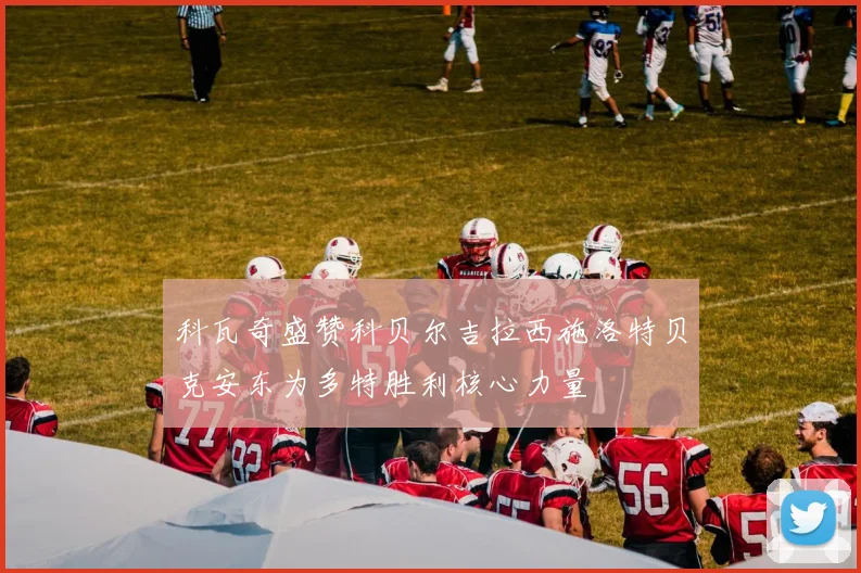科瓦奇盛赞科贝尔吉拉西施洛特贝克安东为多特胜利核心力量