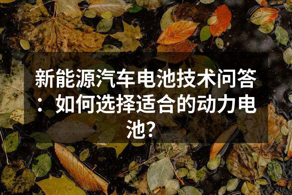 新能源汽车电池展示