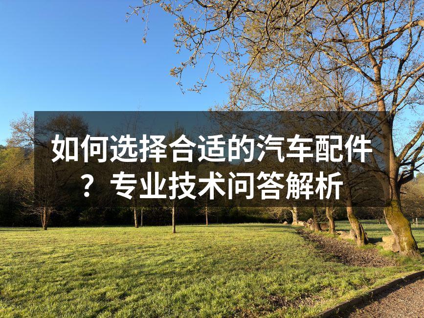 汽车配件展示